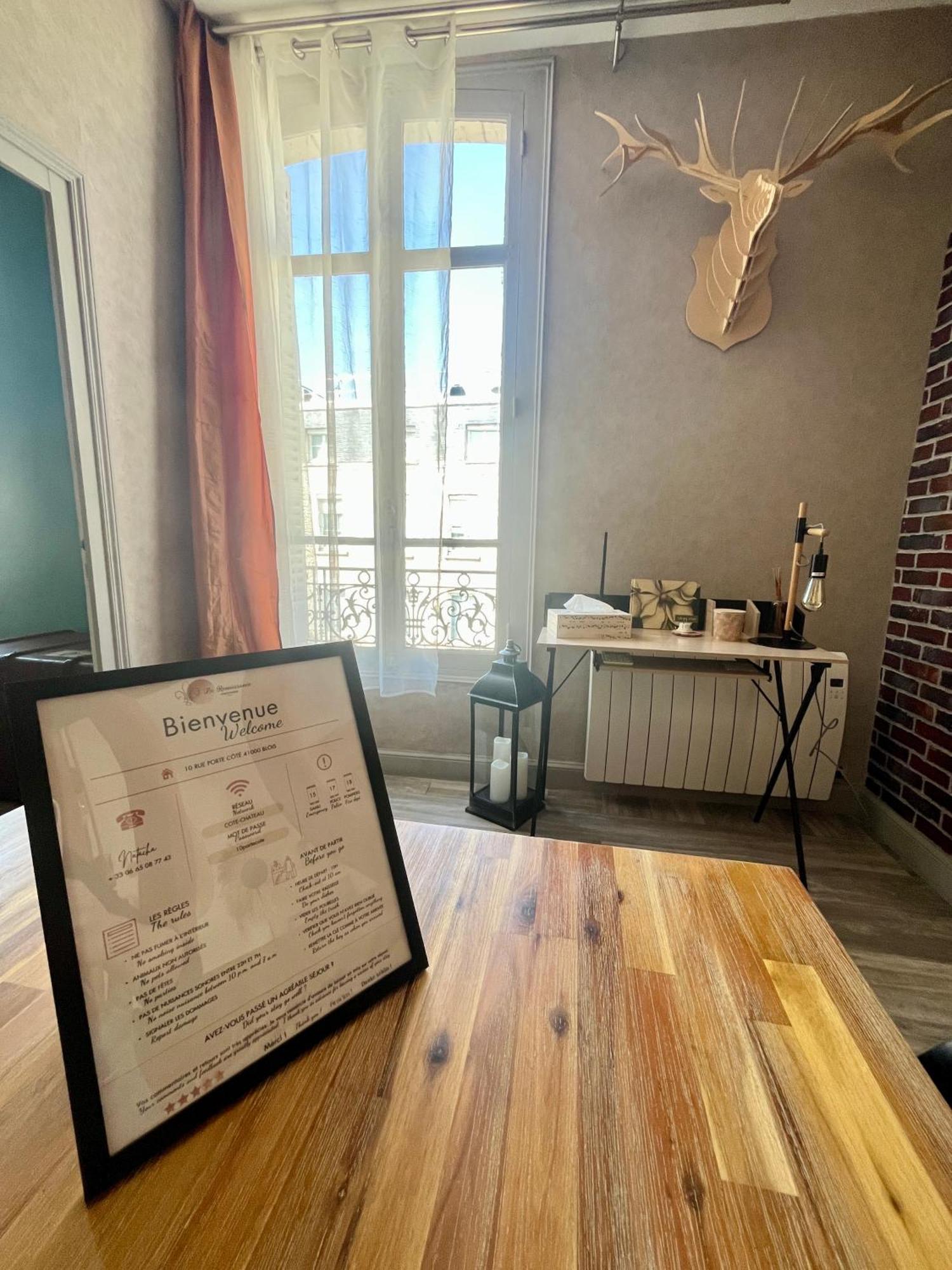 Cote Chateau - Grand Appartement Au Coeur De Blois Extérieur photo